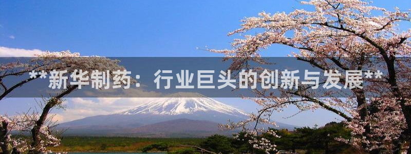 ag九游会老哥俱乐部：**新华制药：行业巨头的创新与发展**