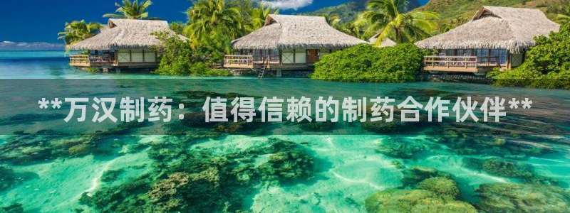 九游会老哥俱乐部官网首页：**万汉制药：值得信赖的制药合作伙伴**