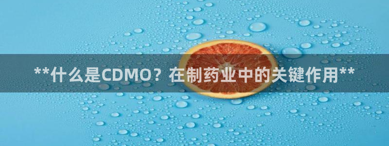 ag九游会老哥俱乐部：**什么是CDMO？在制药业中的关键作用**