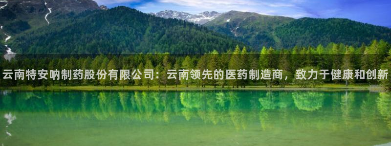 九游会老哥必备的交流社区九：云南特安呐制药股份有限公司：云南领先的医药制造商，致力于健康和创新