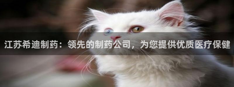 九游会老哥俱乐部交流社区