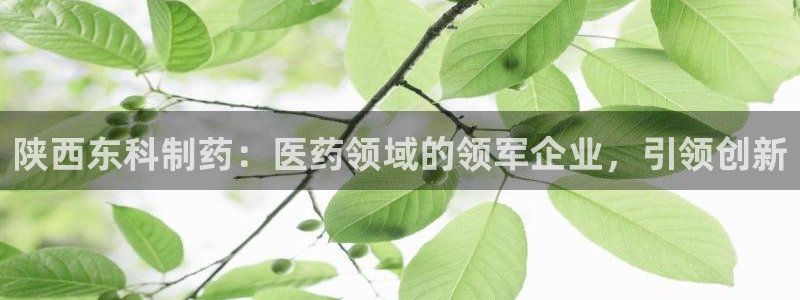ag九游会老哥俱乐部：陕西东科制药：医药领域的领军企业，引领创新