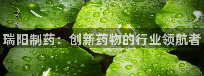 老哥俱乐部是干什么的啊：瑞阳制药：创新药物的行业领航者