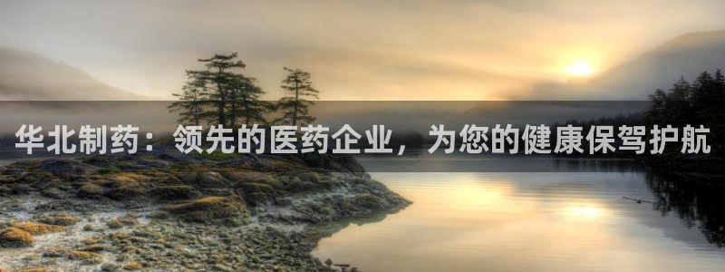 老哥吧九游会下架吗：华北制药：领先的医药企业，为您的健康保驾护航