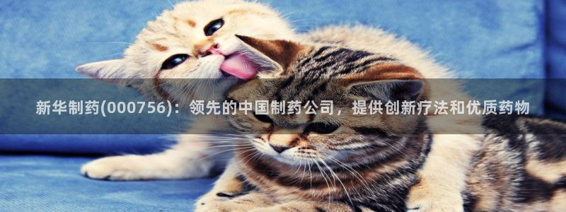 9游会老哥：新华制药(000756)：领先的中国制药公司，提供创新疗法和优质药物