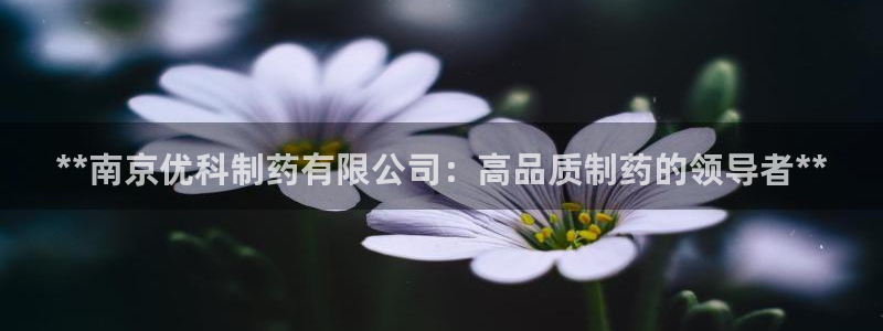 老哥俱乐部是干什么的：**南京优科制药有限公司：高品质制药的领导者**
