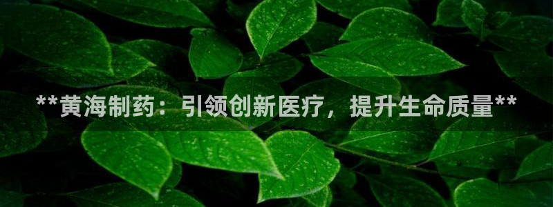 九游会老哥俱乐部官网首页：**黄海制药：引领创新医疗，提升生命质量**