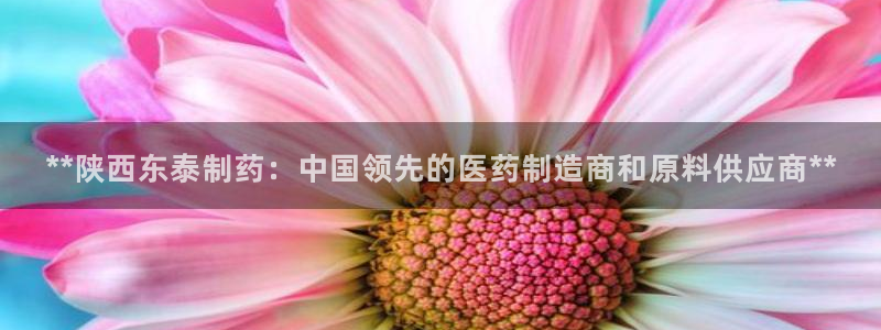 九游会老哥俱乐部必备的交流社区：**陕西东泰制药：中国领先的医药制造商和原料供应商**