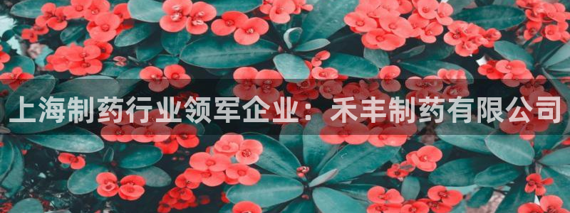 九游老哥俱乐部官网登录入口：上海制药行业领军企业：禾丰制药有限公司