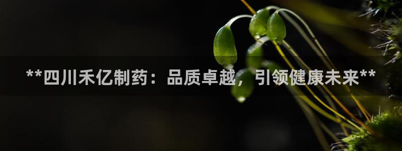 九游会老哥俱乐部：**四川禾亿制药：品质卓越，引领健康未来**