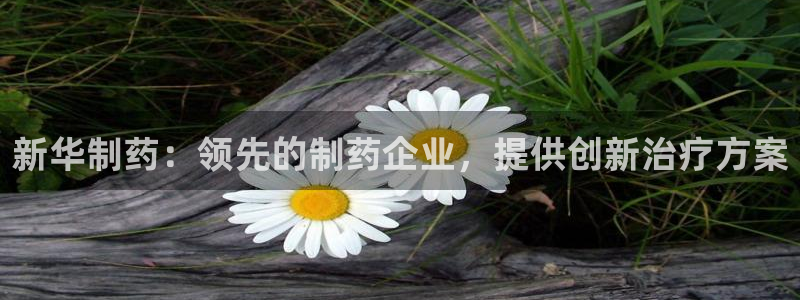 老哥俱乐部是干什么的啊：新华制药：领先的制药企业，提供创新治疗方案