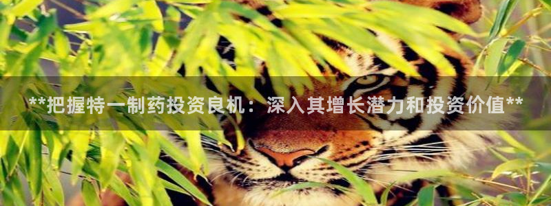 九游会老哥俱乐部：**把握特一制药投资良机：深入其增长潜力和投资价值**