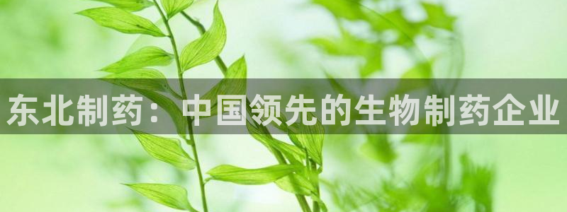 9游会老哥俱乐部：东北制药：中国领先的生物制药企业