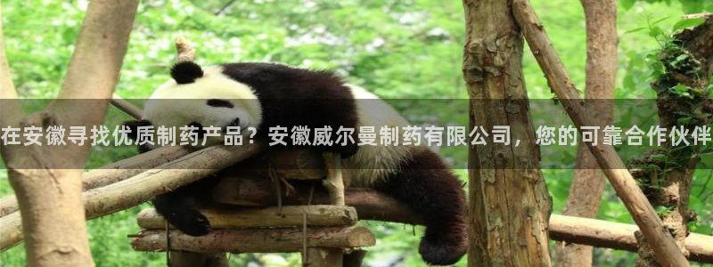 九游会老哥俱乐部官网：在安徽寻找优质制药产品？安徽威尔曼制药有限公司，您的可靠合作伙伴