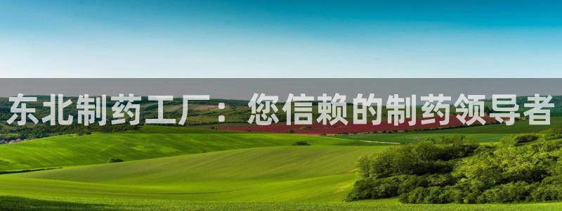 9游会老哥：东北制药工厂：您信赖的制药领导者