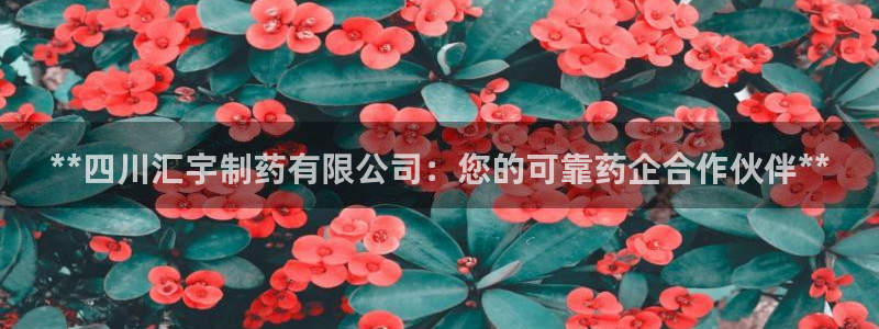 老哥俱乐部是干什么的：**四川汇宇制药有限公司：您的可靠药企合作伙伴**