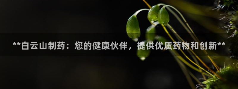 9游会老哥：**白云山制药：您的健康伙伴，提供优质药物和创新**