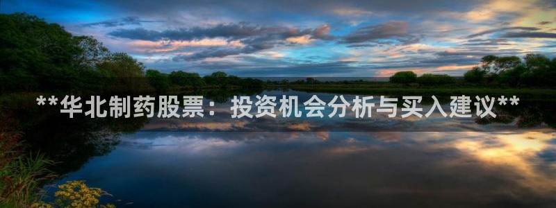 九游会老哥：**华北制药股票：投资机会分析与买入建议**