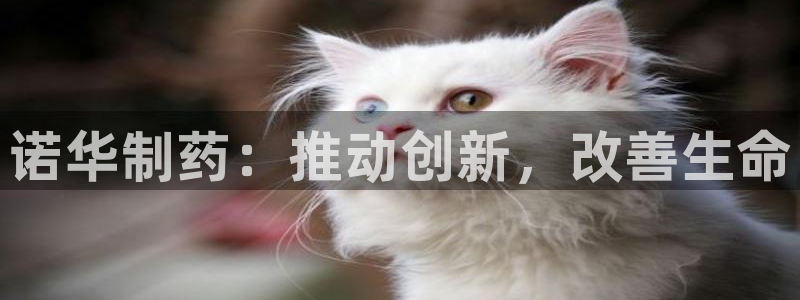 老哥俱乐部是干什么的：诺华制药：推动创新，改善生命