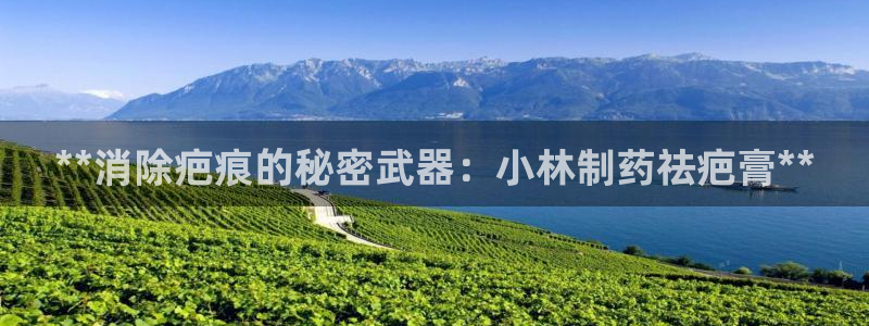 ag九游老哥俱乐部：**消除疤痕的秘密武器：小林制药祛疤膏**