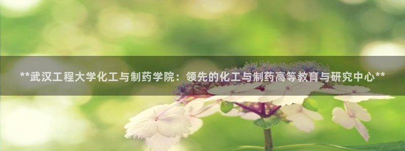 九游老哥俱乐部官网登录不了：**武汉工程大学化工与制药学院：领先的化工与制药高等教育与研究中心**