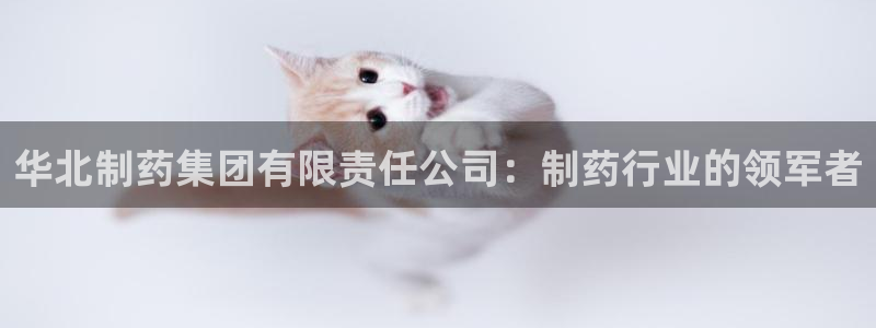 9游会老哥俱乐部：华北制药集团有限责任公司：制药行业的领军者