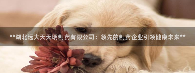 九游老哥俱乐部登录：**湖北远大天天明制药有限公司：领先的制药企业引领健康未来**