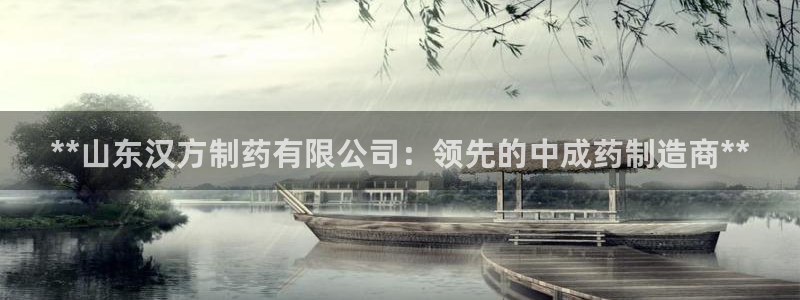 9游会老哥：**山东汉方制药有限公司：领先的中成药制造商**