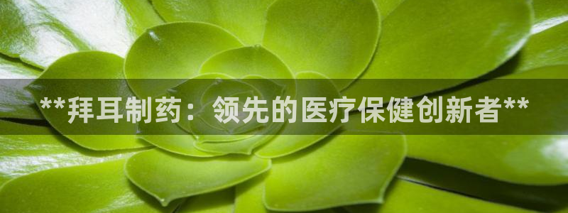 九游会老哥俱乐部社区论坛