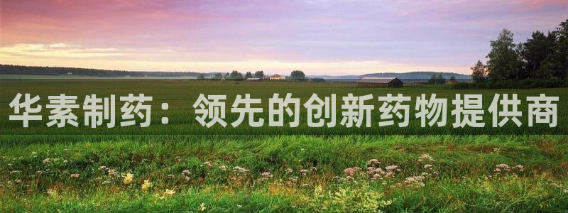 ag九游会老哥：华素制药：领先的创新药物提供商
