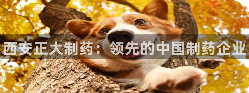 老哥吧九游会：西安正大制药：领先的中国制药企业