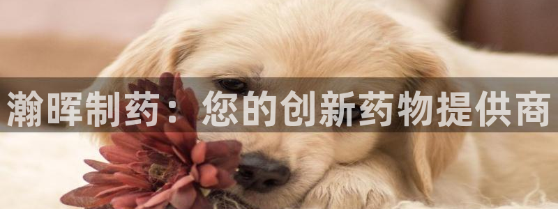 九游老哥俱乐部登录：瀚晖制药：您的创新药物提供商