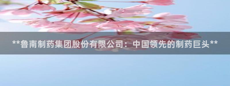 老哥俱乐部是干什么的：**鲁南制药集团股份有限公司：中国领先的制药巨头**
