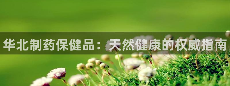 ag九游会老哥：华北制药保健品：天然健康的权威指南