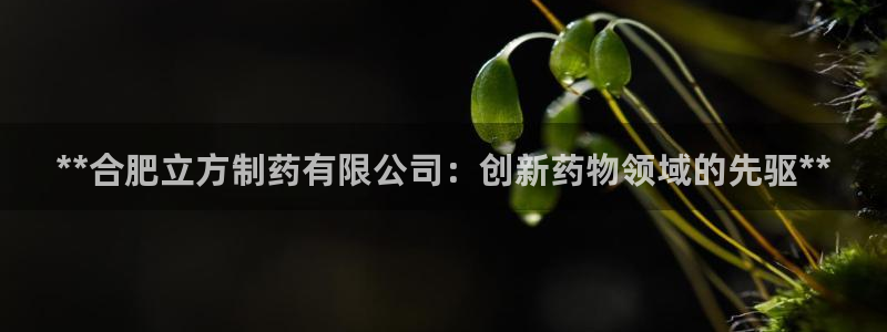 九游老哥俱乐部官网登录网址：**合肥立方制药有限公司：创新药物领域的先驱**