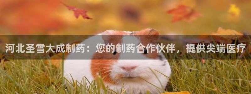 九游会老哥