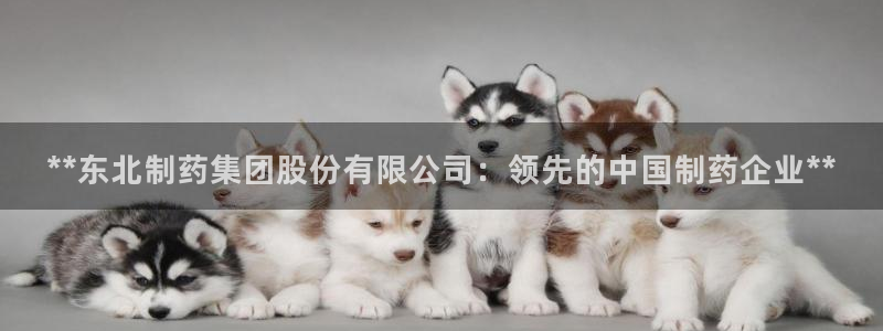 九游会老哥俱乐部：**东北制药集团股份有限公司：领先的中国制药企业**