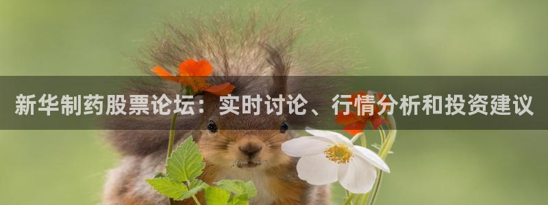 九游会老哥俱乐部：新华制药股票论坛：实时讨论、行情分析和投资建议