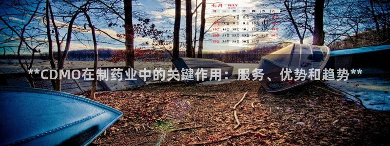 老哥吧九游会：**CDMO在制药业中的关键作用：服务、优势和趋势**