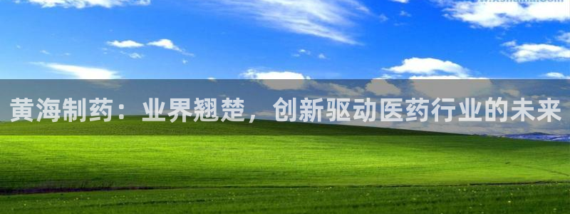 九游老哥俱乐部官网登录不了：黄海制药：业界翘楚，创新驱动医药行业的未来