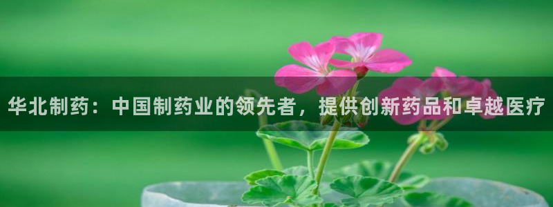 九游会老哥俱乐部必备的交流社区论坛：华北制药：中国制药业的领先者，提供创新药品和卓越医疗