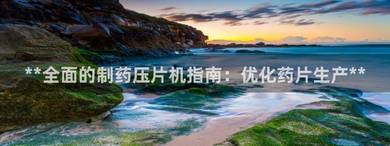 九游老哥俱乐部官网登录不了：**全面的制药压片机指南：优化药片生产**