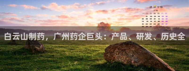 九游会老哥俱乐部：白云山制药，广州药企巨头：产品、研发、历史全
