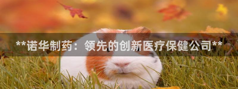 九游会老哥必备的交流社区九：**诺华制药：领先的创新医疗保健公司**