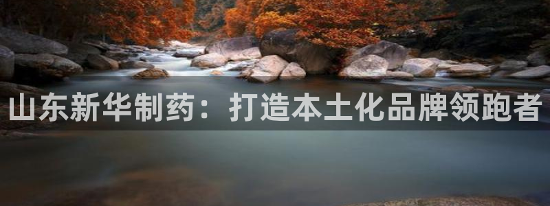 九游会老哥：山东新华制药：打造本土化品牌领跑者