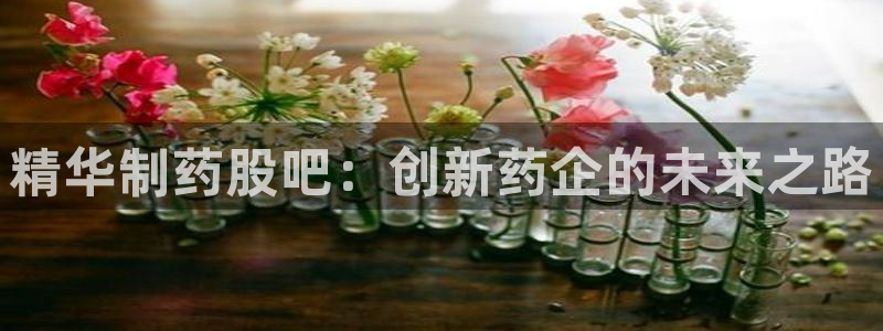 j9九游会老哥俱乐部交流区：精华制药股吧：创新药企的未来之路