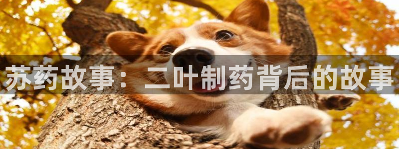 ag九游会老哥俱乐部：苏药故事：二叶制药背后的故事
