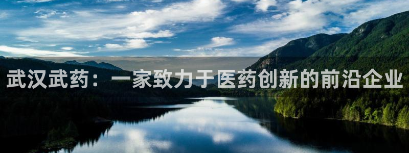 九游老哥俱乐部官网登录网址：武汉武药：一家致力于医药创新的前沿企业