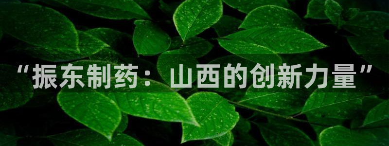 九游会老哥必备的交流社区九：“振东制药：山西的创新力量”