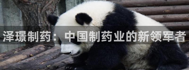 九游会老哥俱乐部必备的交流社区论坛：泽璟制药：中国制药业的新领军者